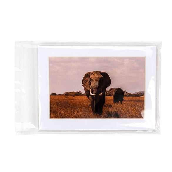 Umweltfreundliche Beutel 14.4x19.1cm Transparent - Premium (100 Stück) [GC7B1]