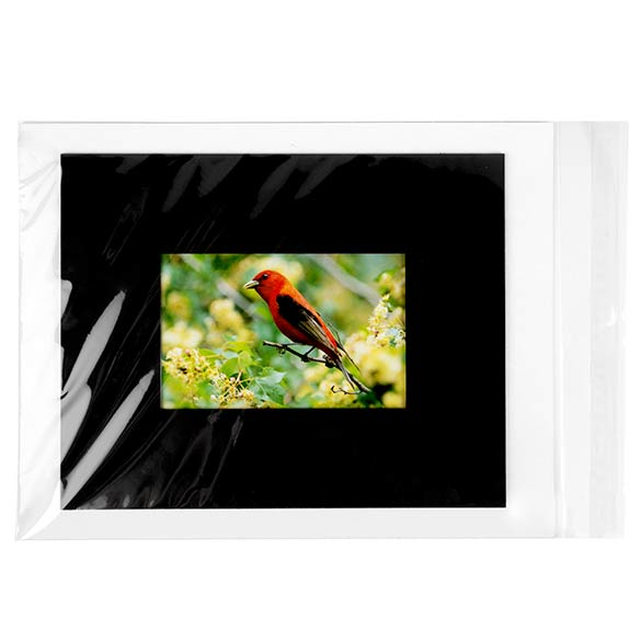 Klappenbeutel 24x31,9cm Hochtransparent (250 Stück) [VL9]