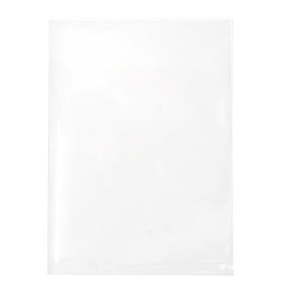 Flachbeutel 9.5x13.5cm OPP Transparent (100 Stück) [B3X5NF]