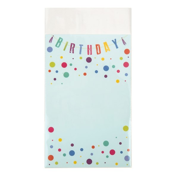 Plastikbeutel 14x26cm Laminiert und kein Umschlag (100 Stück) [LB510NF]