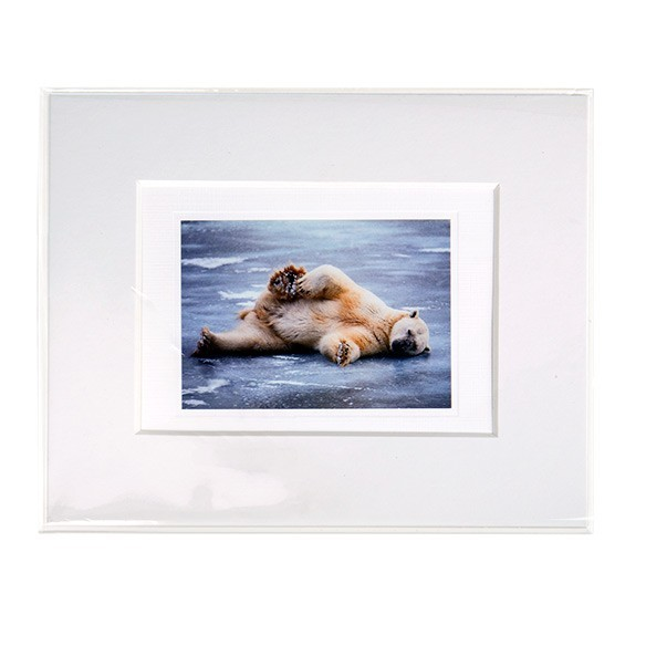 Plastikbeutel 21x26cm Transparent (250 Stück) [VL108SNF]