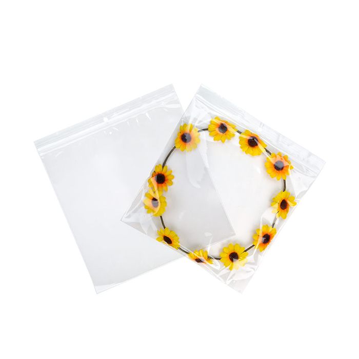 Druckverschlussbeutel mit Euroloch 20.5x20.5cm Transparent PP 50 Mikron (100 Stück) [ZR88V]
