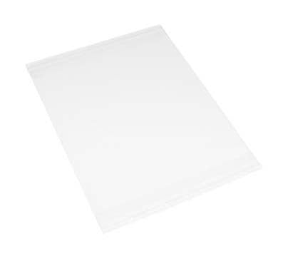 Foto-Präsentationshüllen 20.6x25.6cm Transparent (100 Stück) [CPM8X10S]