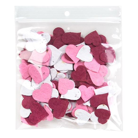 Druckverschlussbeutel mit Aufhängeloch 12.5x12.5cm Kristallklar und mit Luftloch PP 50 Mikron (100 Stück) [ZR55V]