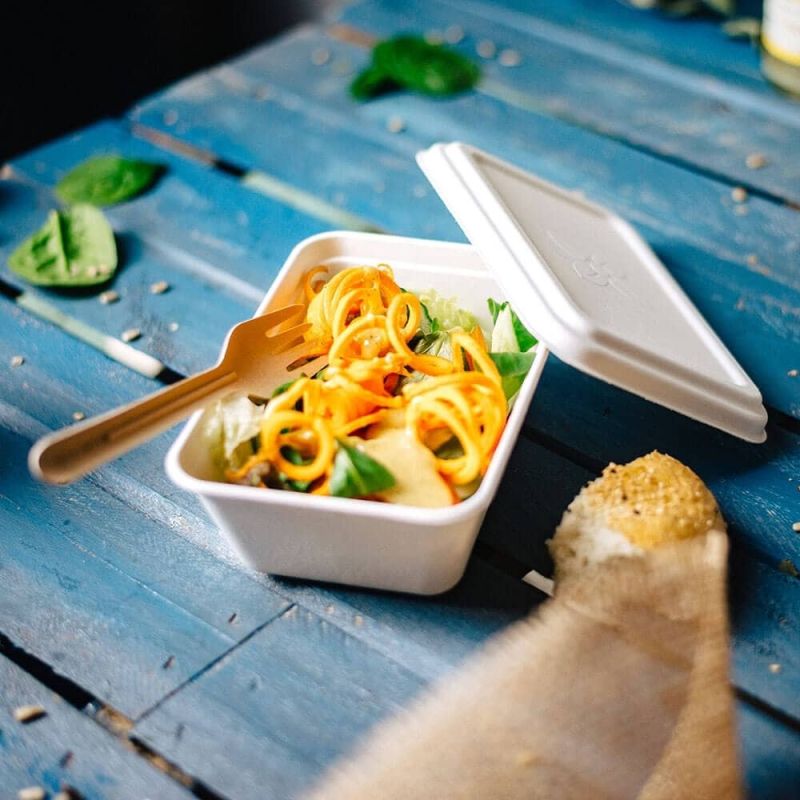 Schale Zuckerrohr 17x12x5 cm, 500 ml (1000 Stück) [GB-DFC01217]