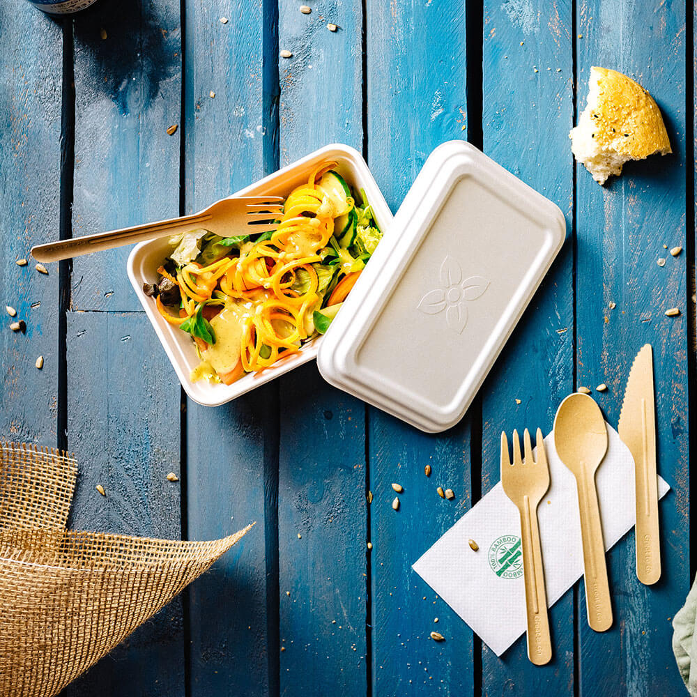 Schale Zuckerrohr 17x12x6 cm, 650 ml (500 Stück) [GB-DFC01226]