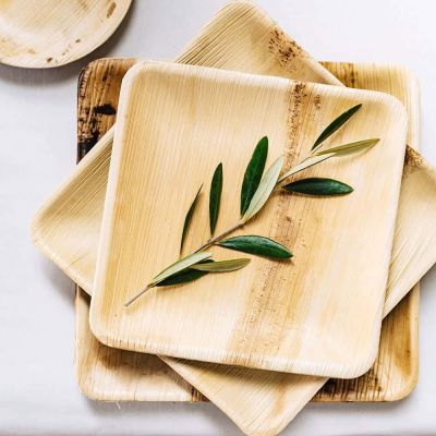 Quadratischer Palmblatt-Teller, 20x20cm (200 Stück) [GB-DTW05350]