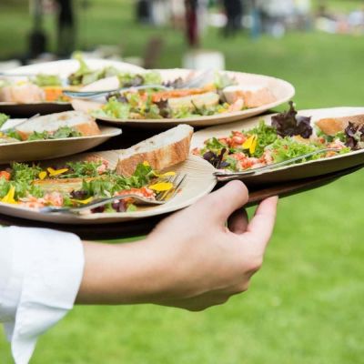 Teller Palmware® Ø 25 cm, rund (200 Stück) [GB-DTW05370]