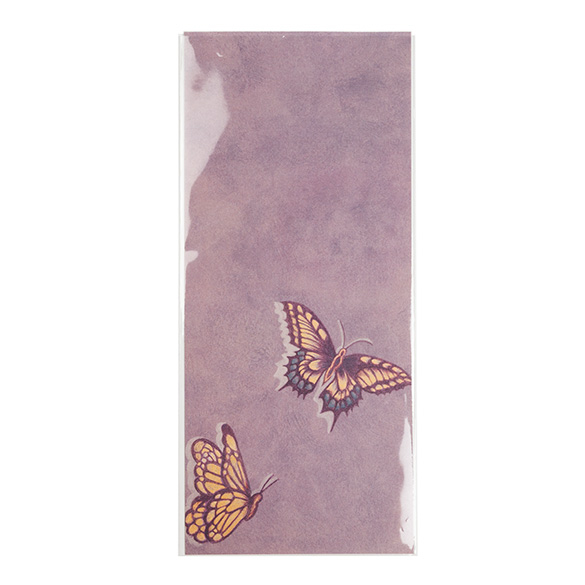 Umweltfreundliche Beutel 11x24.3cm Transparent - Premium (100 Stück) [GC49NF]