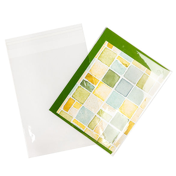 Umweltfreundliche Beutel 13.8x17.8cm Transparent - Premium (100 Stück) [GC6B3]