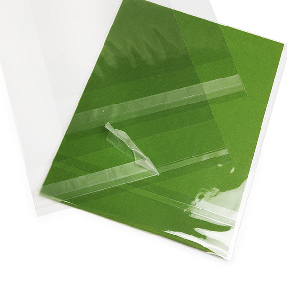 Umweltfreundliche Beutel 13.8x17.8cm Transparent - Premium (100 Stück) [GC6B3]