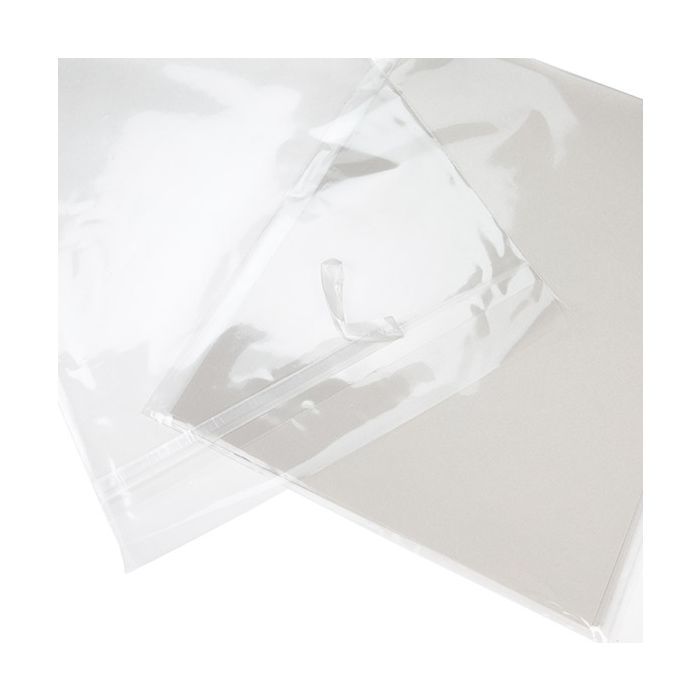 Umweltfreundliche Beutel 24x31.1 cm Transparent mit Schutzverschluss (100 Stück) [GC9PC]