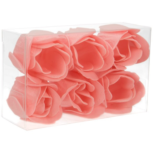 Klarsichtschachteln 6.7x3.8x11cm Transparent (25 Stück) [FB126]