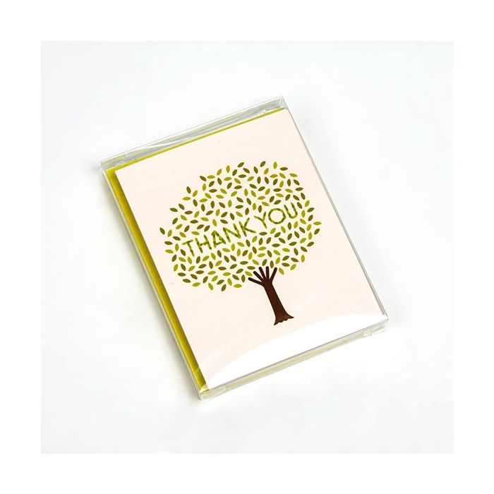 Klarsichtschachteln 11x1.5x14.5 cm Transparent (25 Stück [FB3]