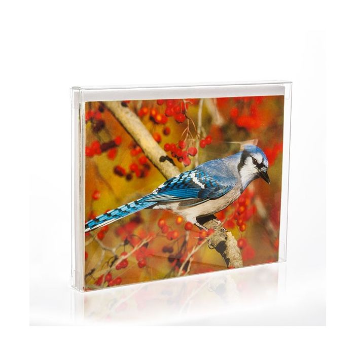 Klarsichtschachteln 11.4x1.3x14.9cm Transparent (25 Stück) [FB6]