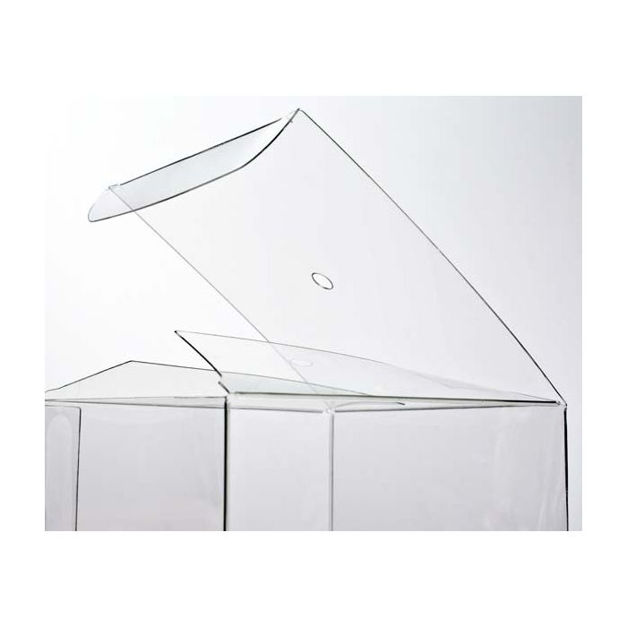 Klarsichtschachteln für Süßigäpfel 10.2x10.2x10.2cm (25 Stück) [FS56]