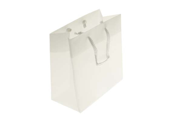 Geschenktaschen 16x7.6x16cm mit Trageschnüren (10 Stück) [G66FT1]