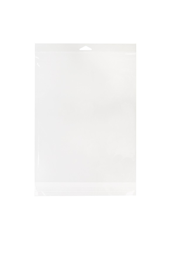 Headerbeutel Transparent 24x31.1cm Wiederverschließbar (100 Stück) [HB9]