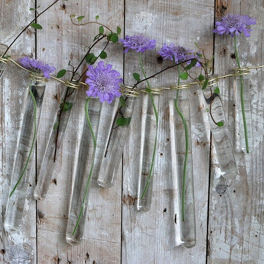 Reagenzgläser 2x20cm mit Ring (12 Stück) [IFS-29203]