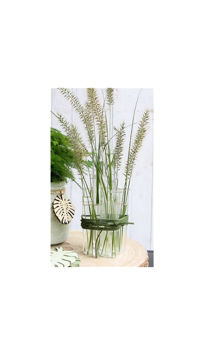 Reagenzgläser 2x20cm mit Ring (12 Stück) [IFS-29203]