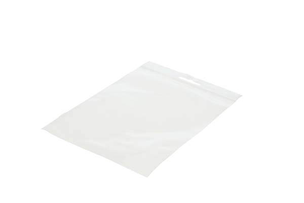 Grip Seal Bags with Euroslot 18x18 Crystal Clear PP 50 micron