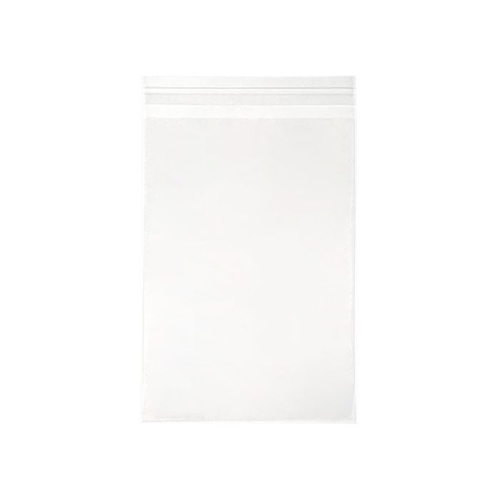Plastikbeutel 21.3x30.3cm Transparent & Wiederverschließbar (100 Stück) [KO-30159]