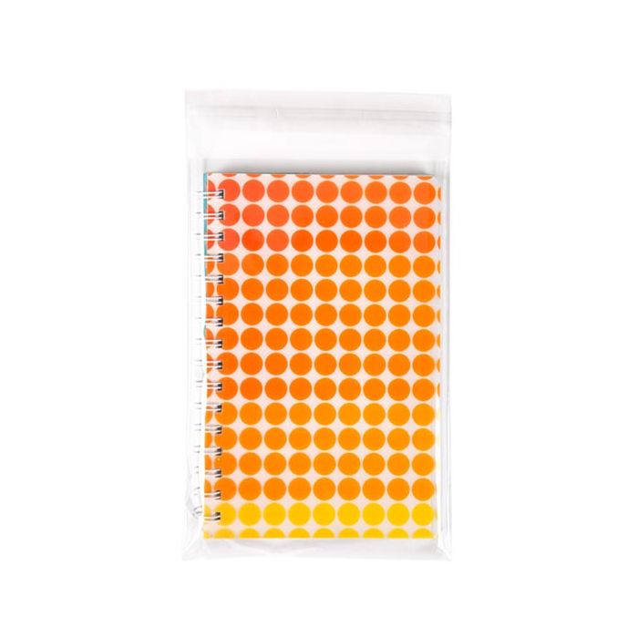 Plastikbeutel 16.7x23cm Transparent & Wiederverschließbar (100 Stück) [KO-30170]