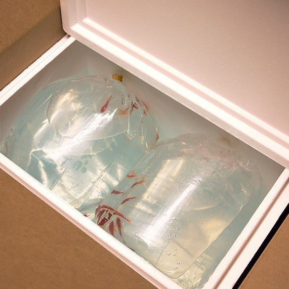 Blockbodenbeutel 39,4x36,8x62,2cm schwere Qualität (100 Stück) [3GSBW5]