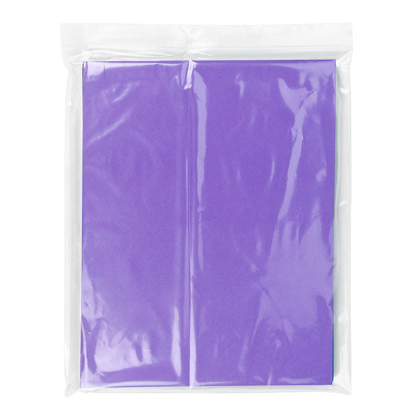 Druckverschlussbeutel Transparent 25.5x30.5cm PE 50 Mikron (100 Stück) [2PE1012]