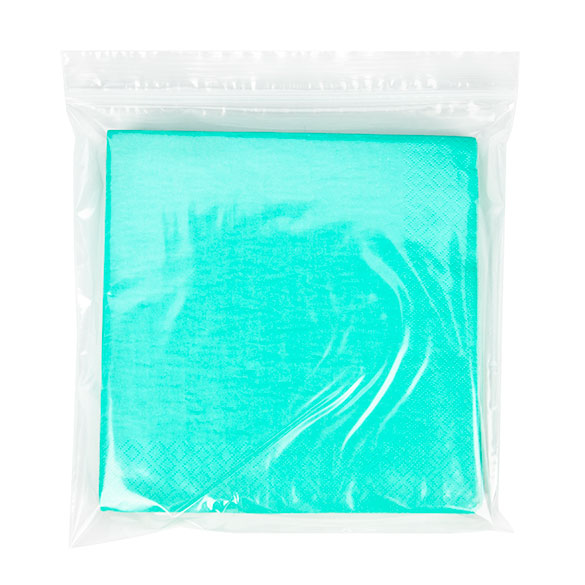 Druckverschlussbeutel Transparent 20.5x20.5cm PE 50 Mikron (100 Stück) [2PE88]