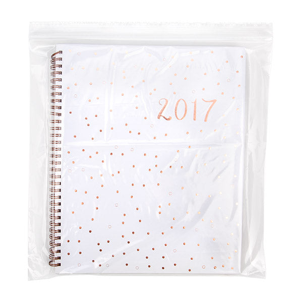 Druckverschlussbeutel Transparent 30.5x30.5cm PE 50 Mikron (100 Stück) [2PE1212]