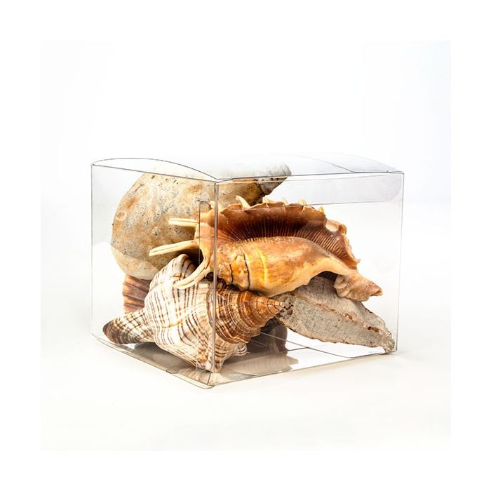 Klarsichtschachteln 12.7x12.7x10.2cm Transparent (50 Stück) [VB308]