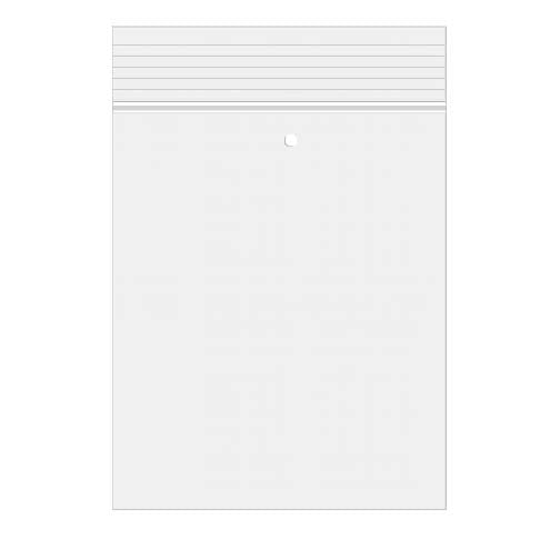 Druckverschlussbeutel mit Euroloch 25.5x30.5cm Transparent PP 50 Mikron (100 Stück) [ZC1012V]