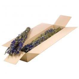 Trockenblumen natürliches Blau Delphinium (1 Bündel) [RU-00102.000.9]