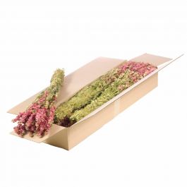 Trockenblumen natürliches Pink Delphinium (1 Bündel) [RU-00104.000.9]