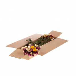 Trockenblumen natürlicher Mix Helichrysum (1 Bündel) [RU-00215.000.9]