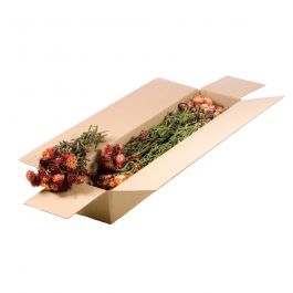 Trockenblumen natürliches Lachsrosa Helichrysum (1 Bündel) [RU-00230.000.9]