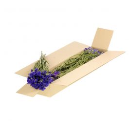 Trockenblumen natürliches Blau Statice sinuata (1 Bündel) [RU-00562.000.9]