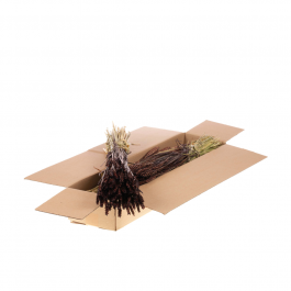 Trockenblumen dunkelbraun Tarwe (Triticum) (1 Bündel) [RU-00574.112.9]