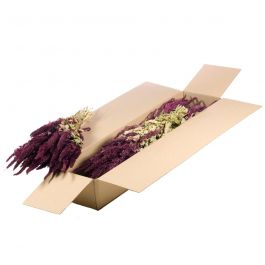 Trockenblumen natürliches GrünRot Amaranthus (1 Bündel) [RU-01600.000.9]