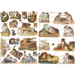 Vintage-Glanzbilder, Katzen, Blatt 16,5x23,5 cm, 2 Bl./ 1 Pck [HOB-19357]