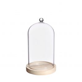 Glashaube mit Glasknopf mit Holzsockel Ø14 h.23,5 cm (1 Stk.) [IFS-29314]