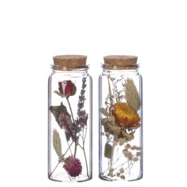 Glasröhrchen mit zwei Trockenblumen Ø4.5cm (12 Stück) [IFS-29346]
