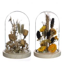 Glasgefäß mit Trockenblumen Natur Ø12cm (1 Stück) [IFS-29834]