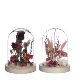Glasglocke mit Trockenblumen Rosa Ø8cm (1 Stück) [IFS-29848]