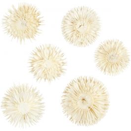 Getrocknete Blütenköpfe, D 3-5 cm, 6 Stk/ 1 Pck [HOB-50204]