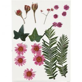Gepresste Blüten und Blätter, Rosa, 1 Pck [HOB-504471]