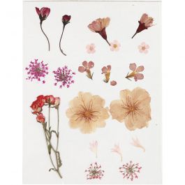 Gepresste Blüten und Blätter, Hellrosa, 1 Pck [HOB-504474]