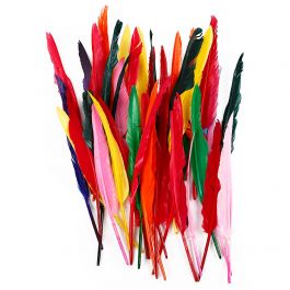 Federn, L 29-31 cm, Sortierte Farben, 100 Stk/ 1 Pck [HOB-51677]