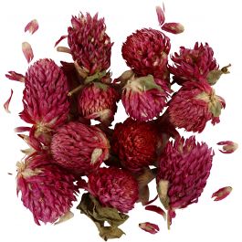 Trockenblumen, Rotes Kleeblatt, L 1,5-2,5 cm, D 1 - 1,5 cm, 15 g, Flieder, 1 Pck [HOB-709502]